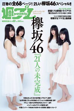 大宋奇案之狸猫换太子
